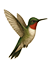 Product Icon